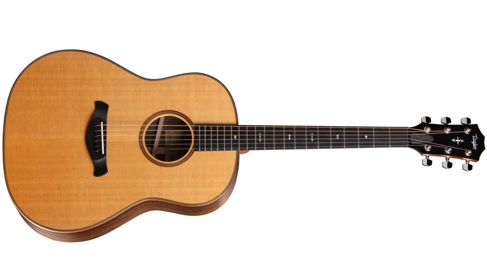 アコースティックギター　Taylor ビルダーズエディション 717 インディアン・ローズウッド